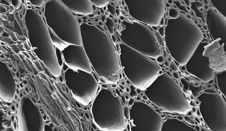 Multi-inzetbare biokoolstof uit organische resten voor batterijen, landbouw en staal foto